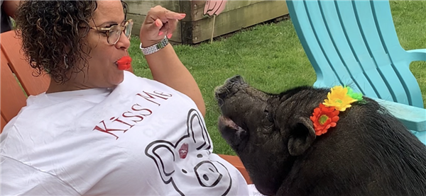 Woman in white shirt feeding a pig on a farm.