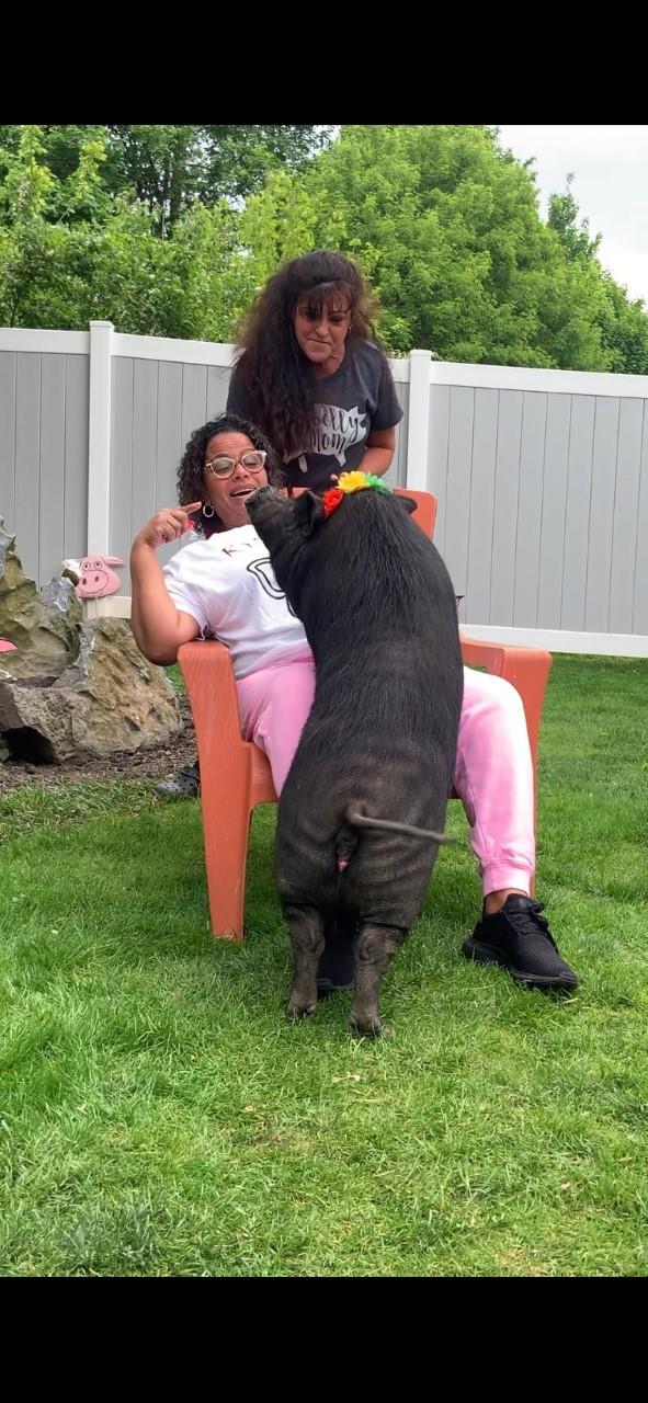 Woman in white shirt feeding a pig on a farm.