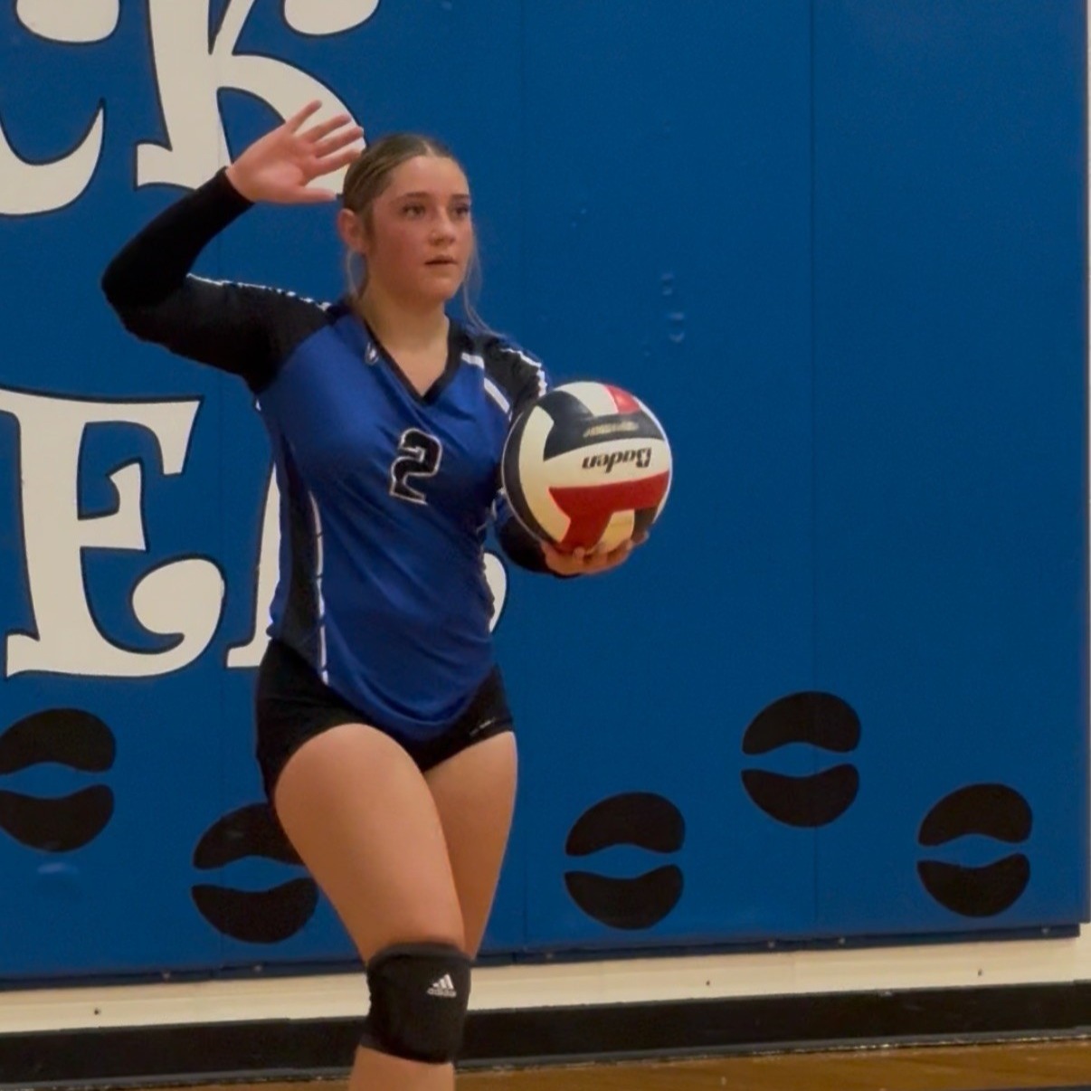 Volleyball