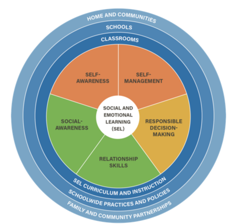 SOCIAL AND EMOTIONAL LEARNING SEL GRAPHIC