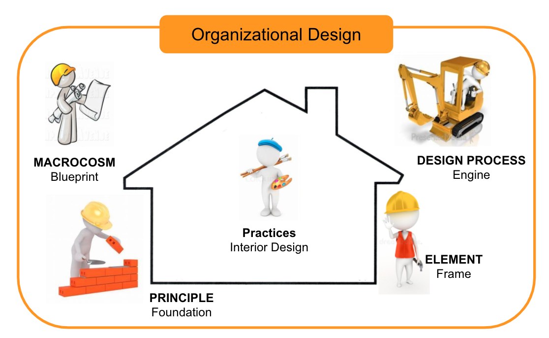 Organizational Design