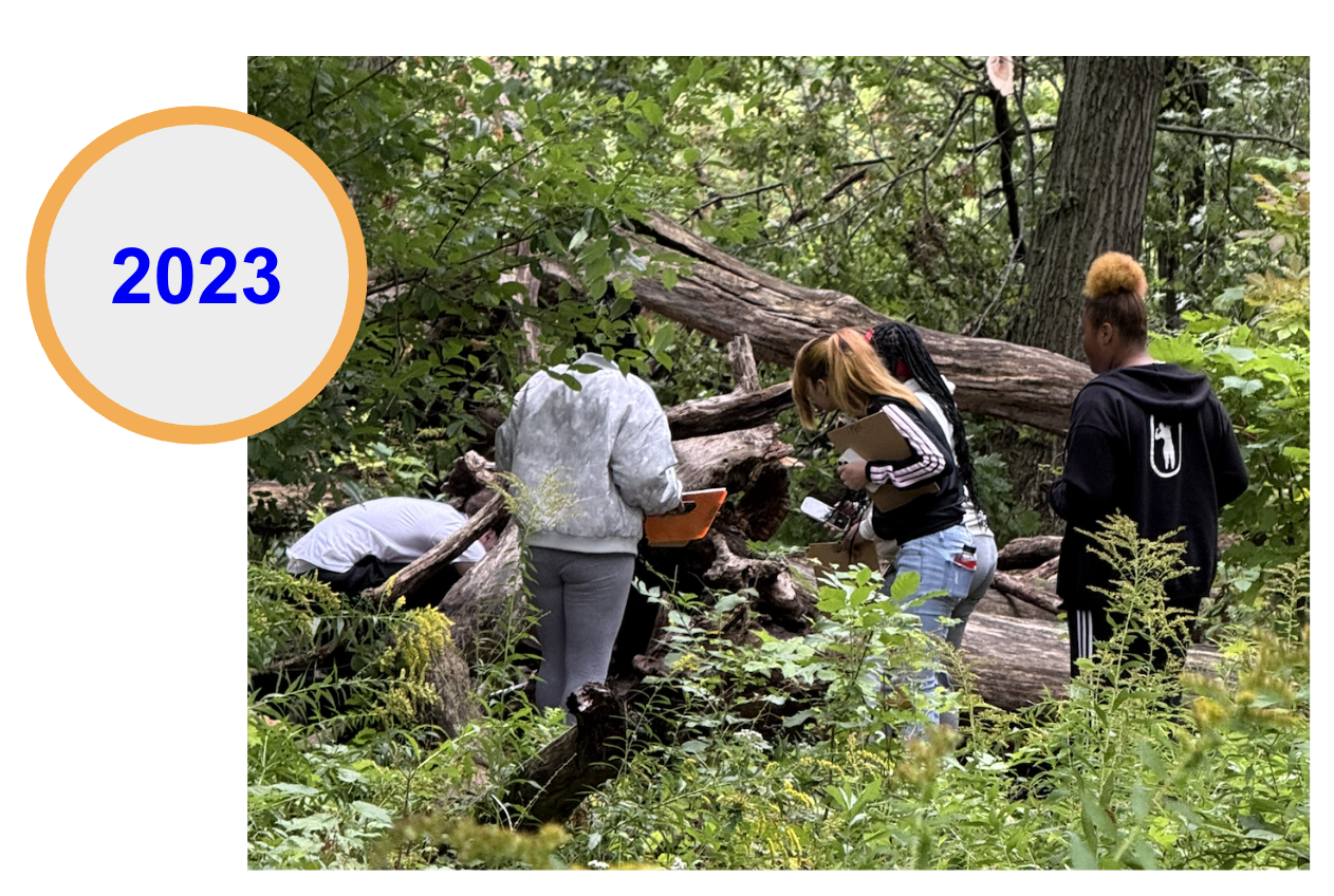 Learners research in wooded area