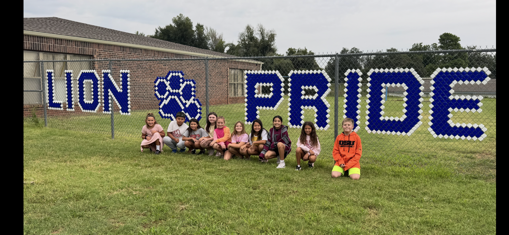 Lion Pride