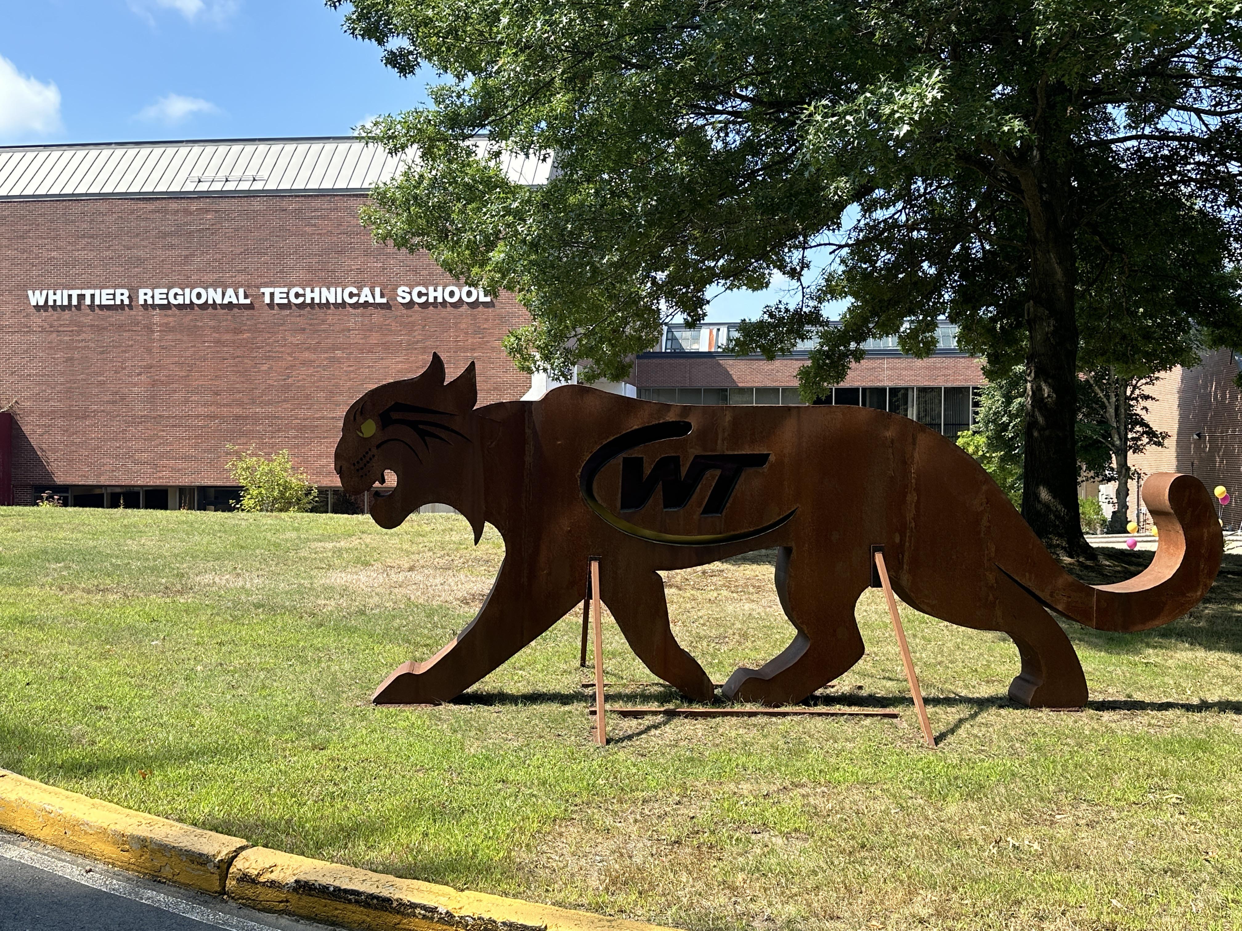 Wildcat