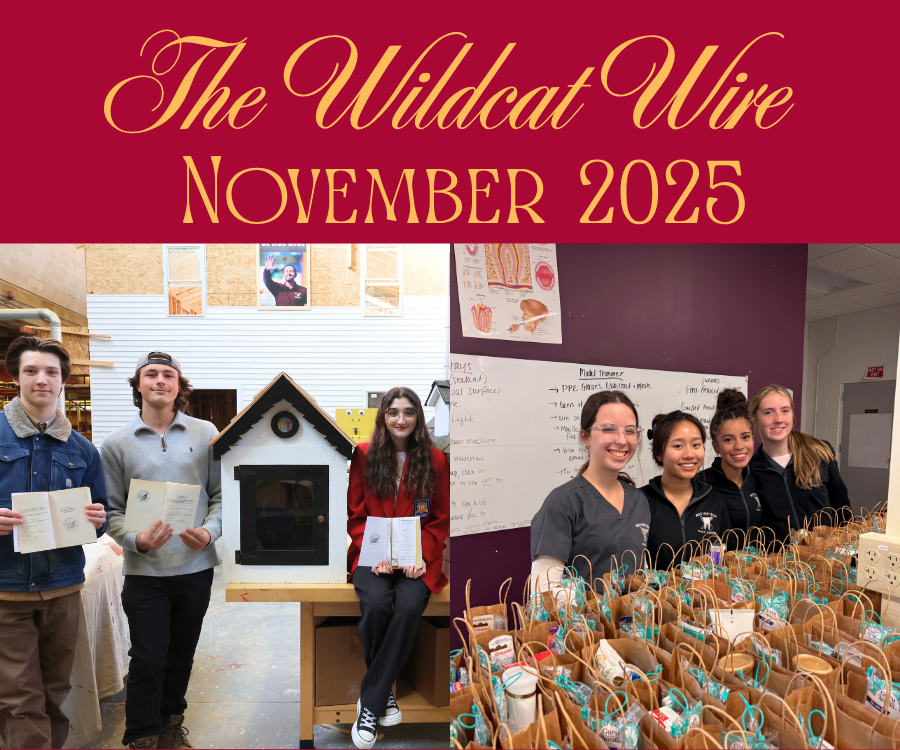 Wildcat Wire - November 2025