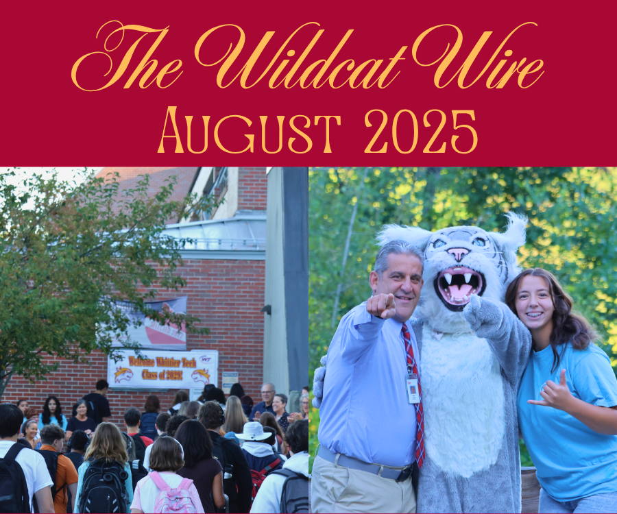 Wildcat Wire - August 2025