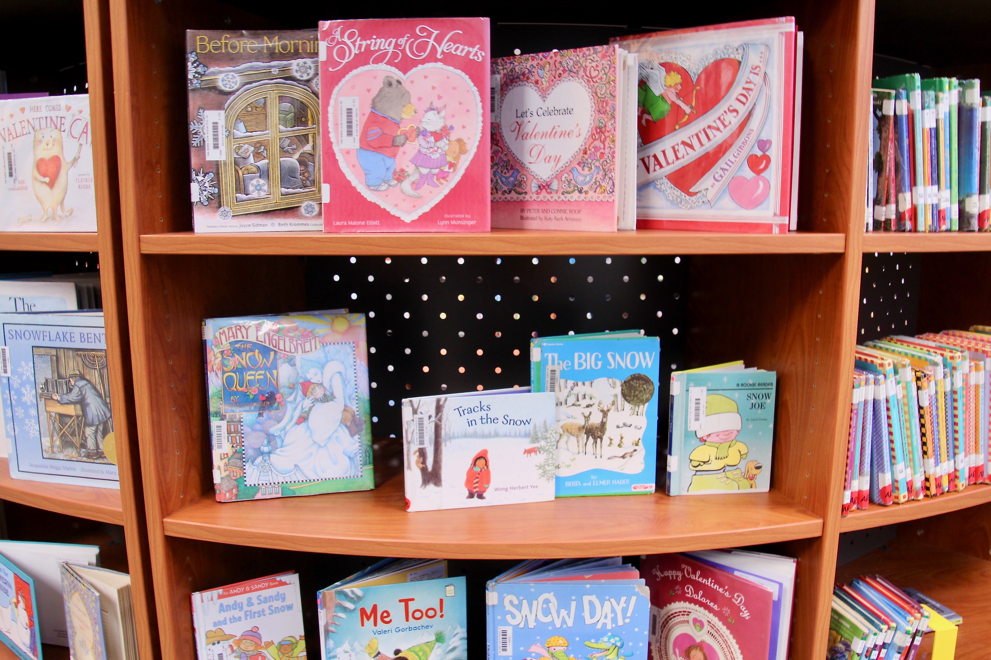 Photo of books in Van Buren Media Center