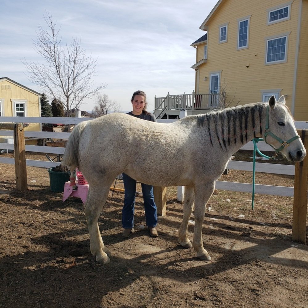 girl with a Horse