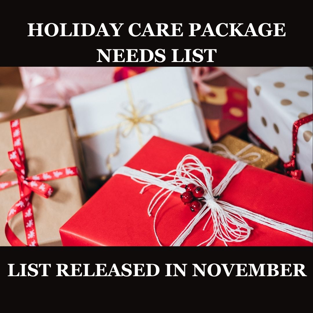 Holiday care package needs list (released in November): presents