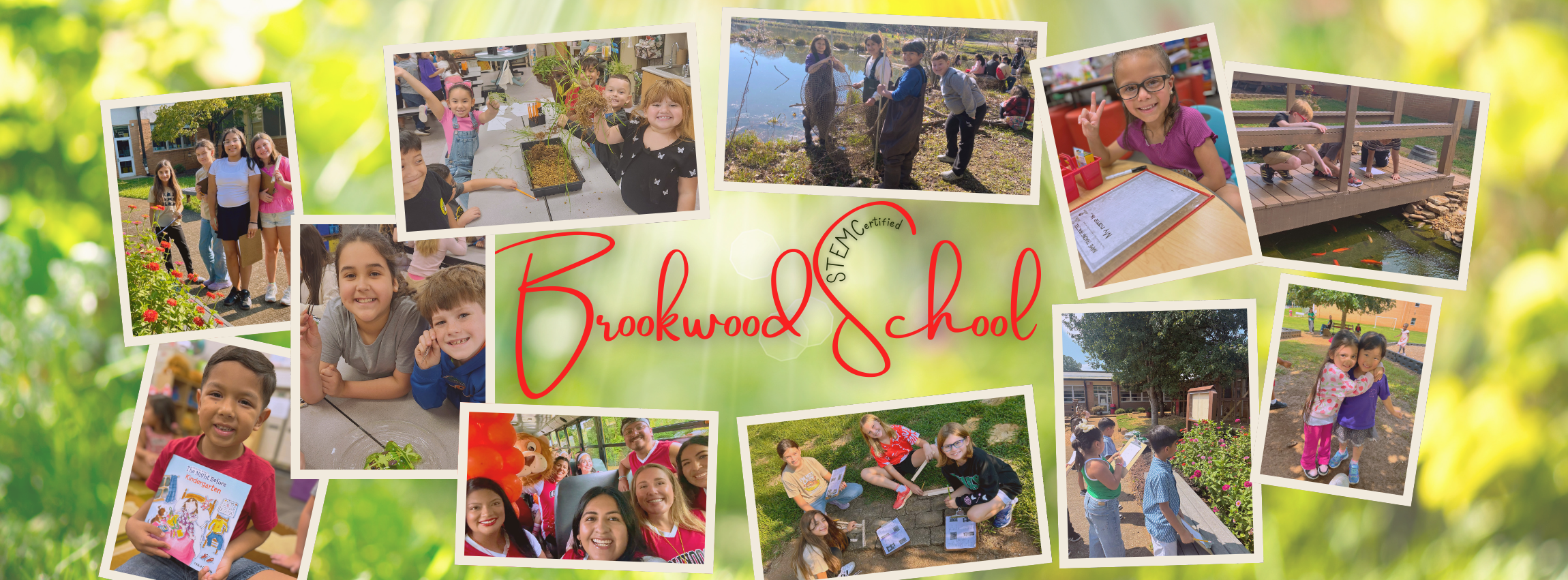 Brookwood School - A STEM Certified School