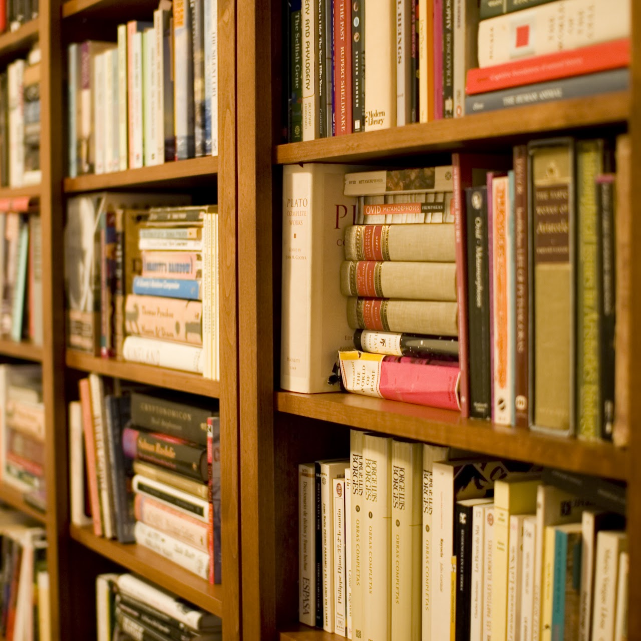 Paperback Junction - South Easton, MA