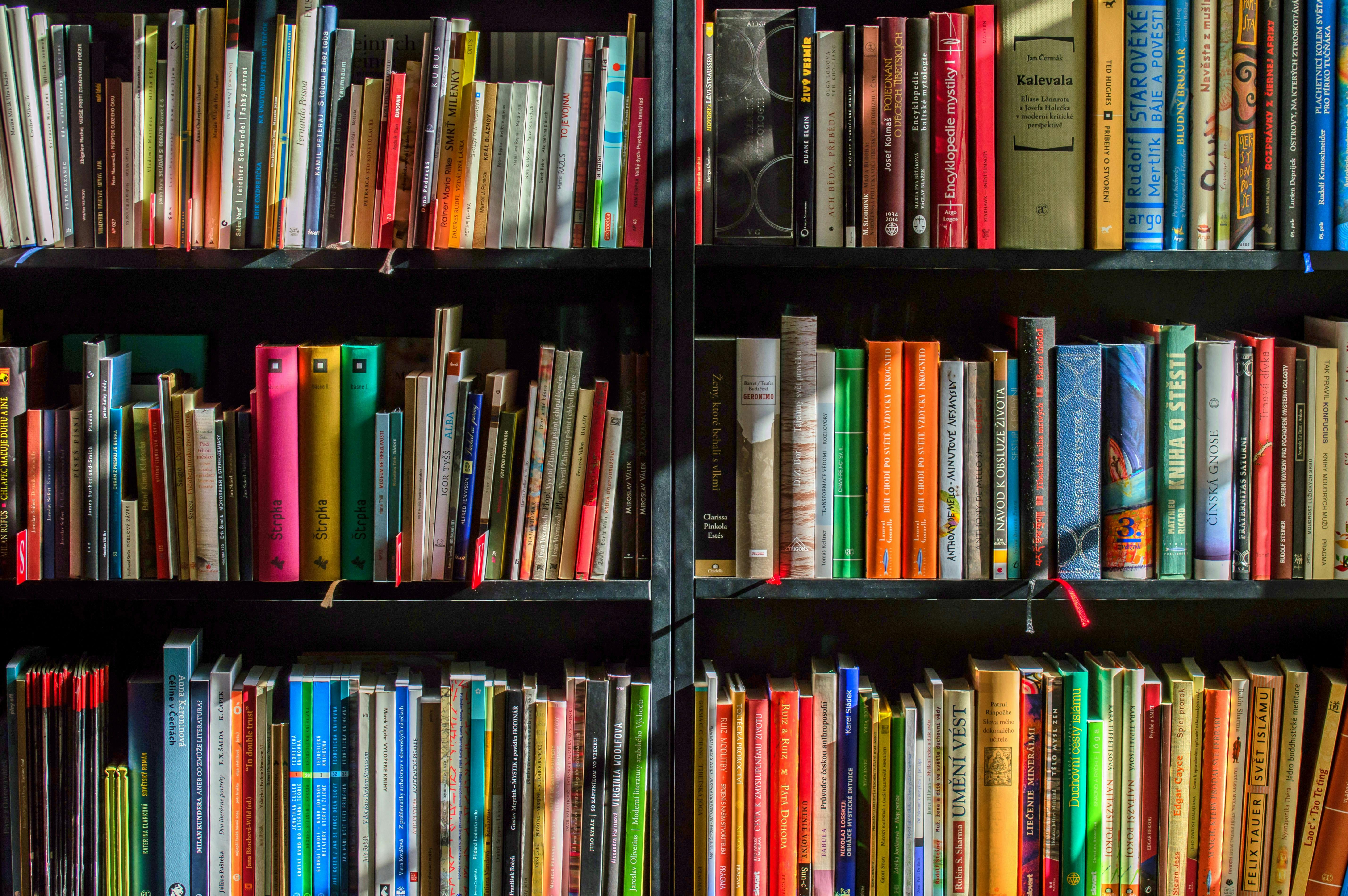 books on bookshelf