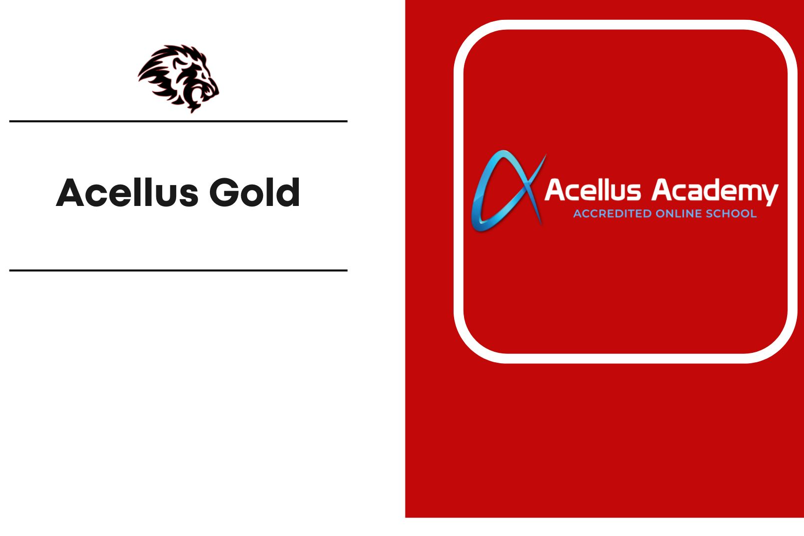 Acellus Academy Graphic