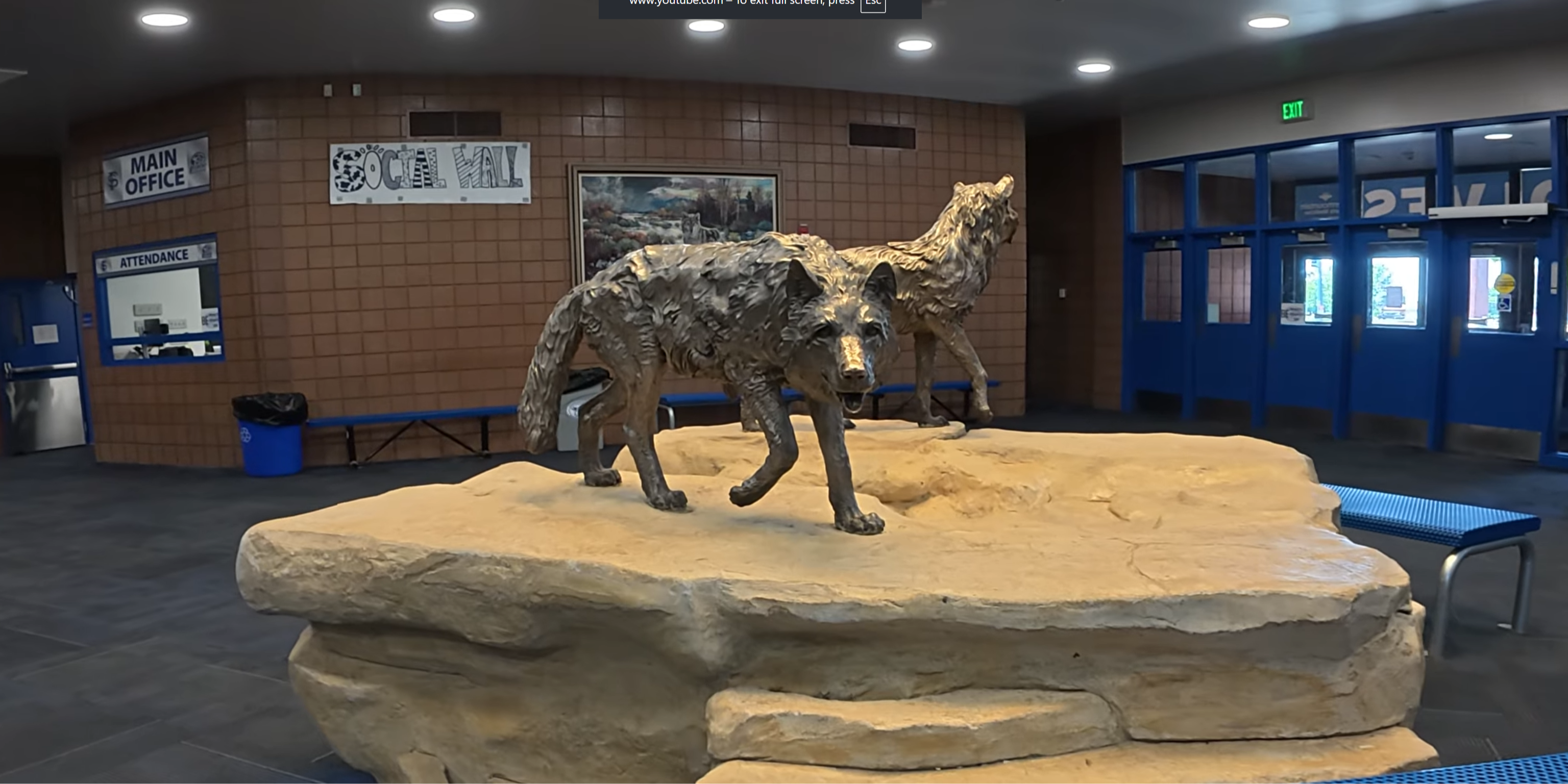 wolves