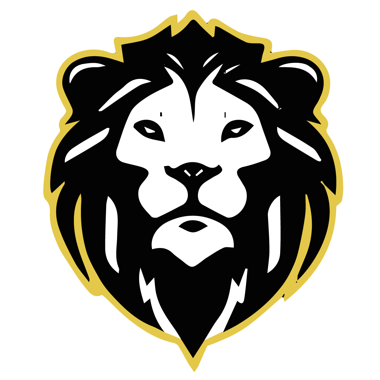 Lion 1