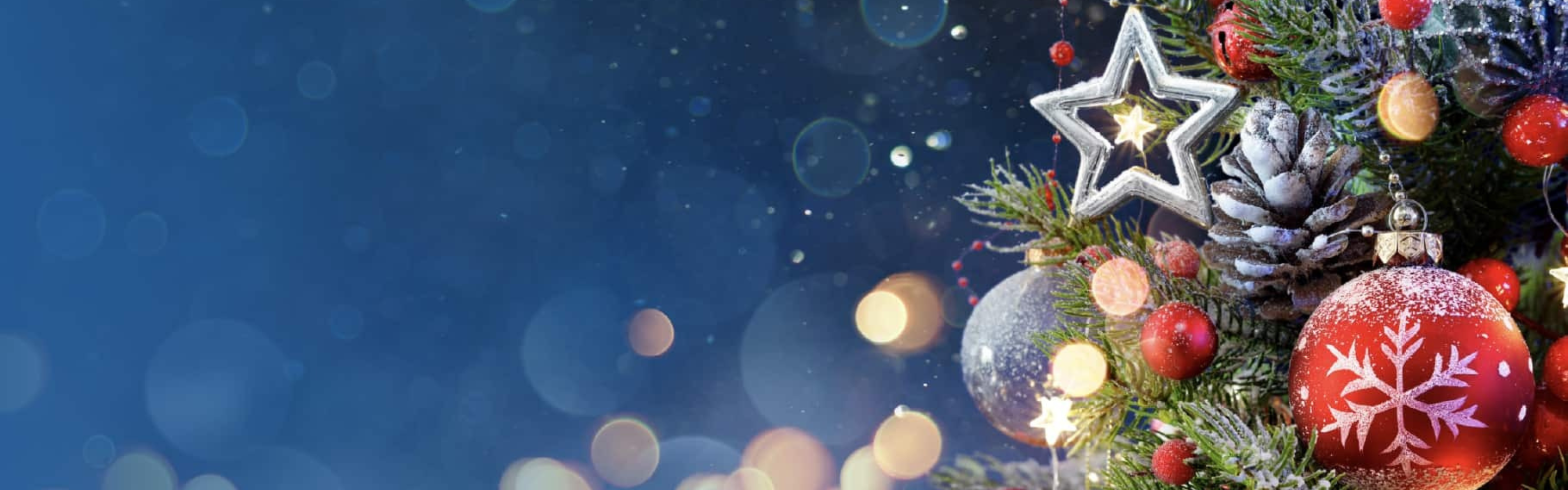 Christmas/Holiday Poll