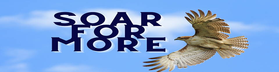 Soar For More