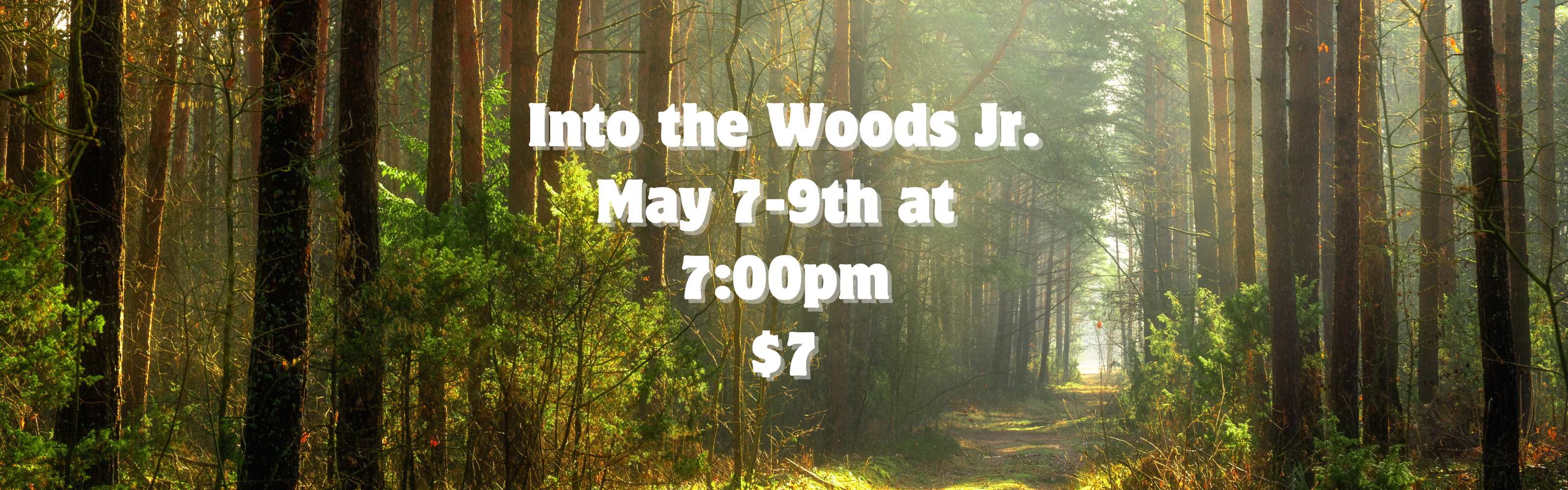 Into the Woods Poster