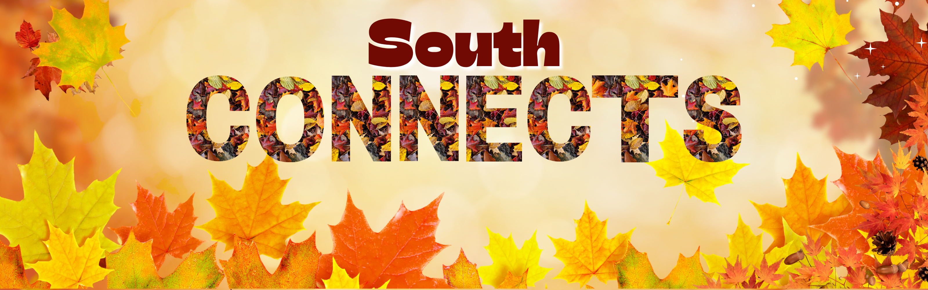 "South Connects" written in front of fall leaf background