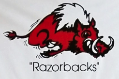 School mascot