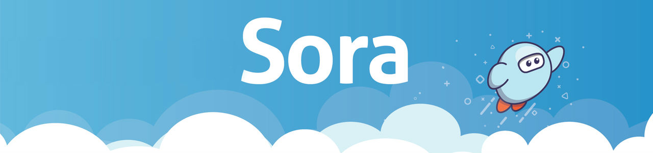 Sora banner