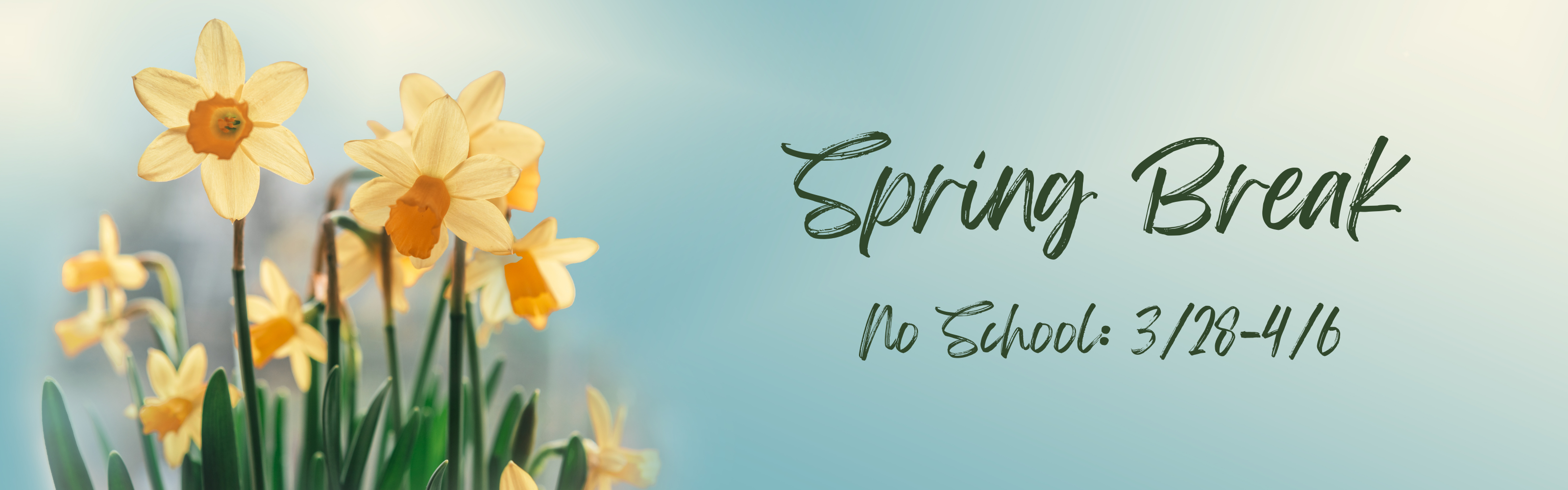 Spring break! No school: March 28-April 6