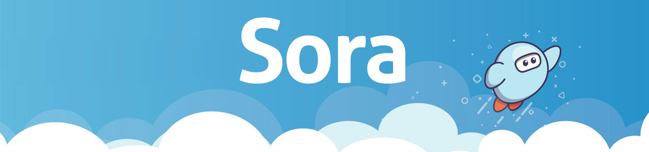 Sora App 