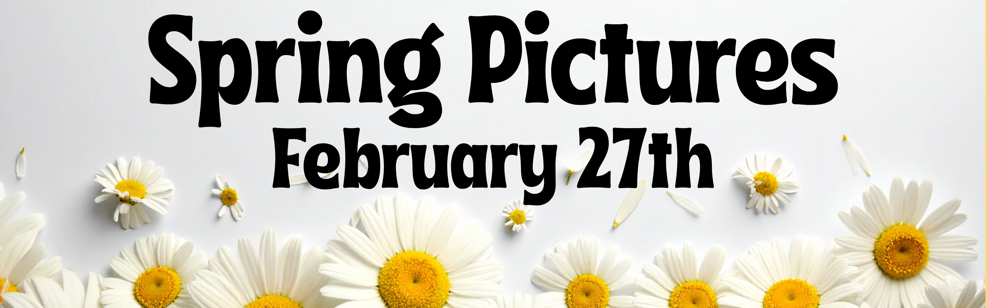 Text that reads 'Spring Pictures February 27th', surrounded by a border of white daisies with yellow centers 
