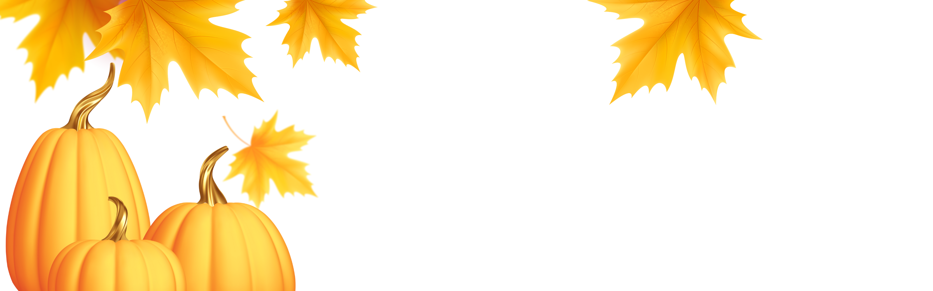 Thanksgiving Break 26-28th of Novmber 