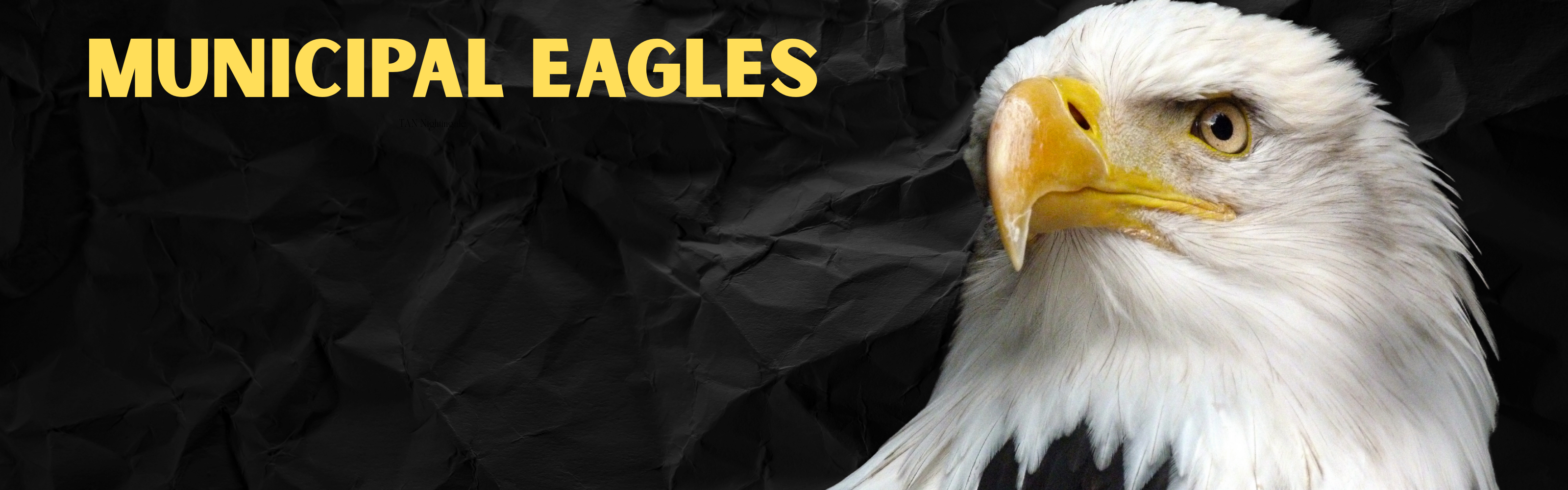 Municipal Eagle Banner