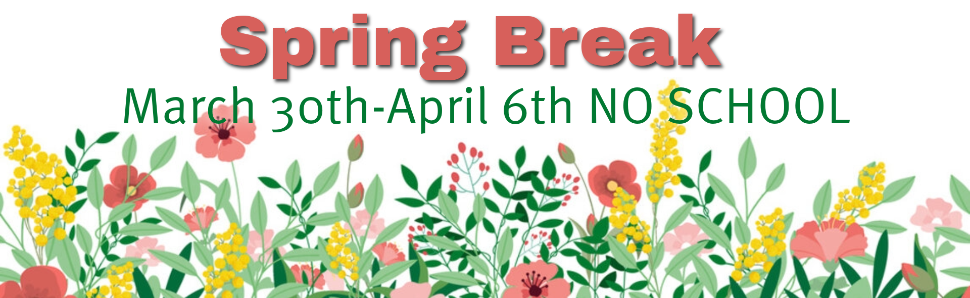 A school announcement banner for Spring Break featuring a vibrant floral theme. The top of the graphic has bold, red text that reads "Spring Break". Directly below, green text states: "March 30th-April 6th NO SCHOOL". The entire bottom half of the banner is decorated with a colorful illustration of various spring wildflowers, including pink poppies, yellow mimosa-like blossoms, and lush green leaves against a clean white background.