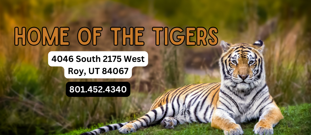 Tiger laying down on image it says home of the tigers 4046 South 2175 West  Roy, UT 84067 8014524340