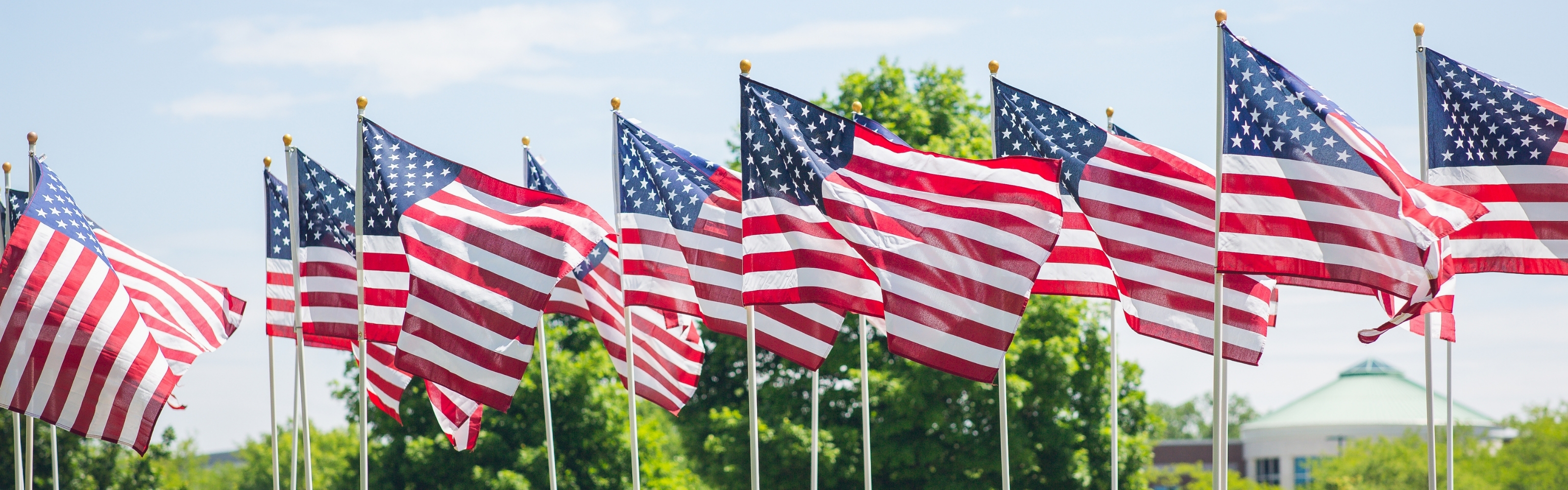Picture showing American flags waving in a field