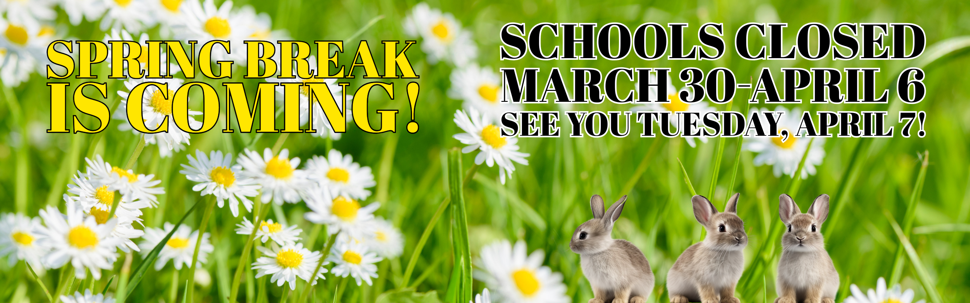 When it comes to accessibility, the goal is to make sure users with screen readers get the full picture—literally. Since this image is a banner containing critical schedule information, the alt text needs to be precise and descriptive.  Alt Text for "banner spring break.jpg" Alt Text: A seasonal banner featuring white daisies and three small brown rabbits in a green field. Yellow text on the left reads, "SPRING BREAK IS COMING!" Black text with a white outline on the right reads, "SCHOOLS CLOSED MARCH 30-APRIL 6. SEE YOU TUESDAY, APRIL 7!"