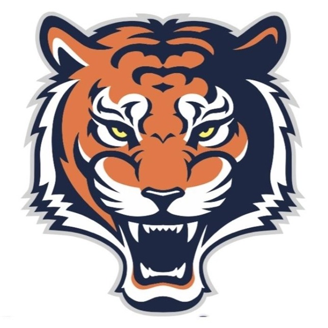 Tiger Face