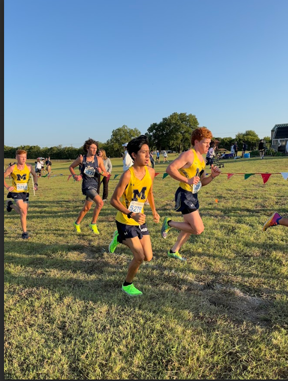 Lions Cross Country