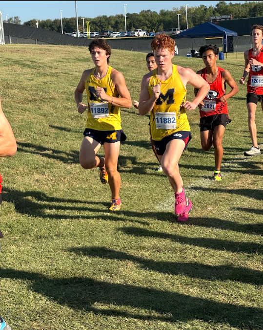 Lions Cross Country