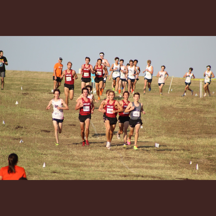 District XC Championship racers