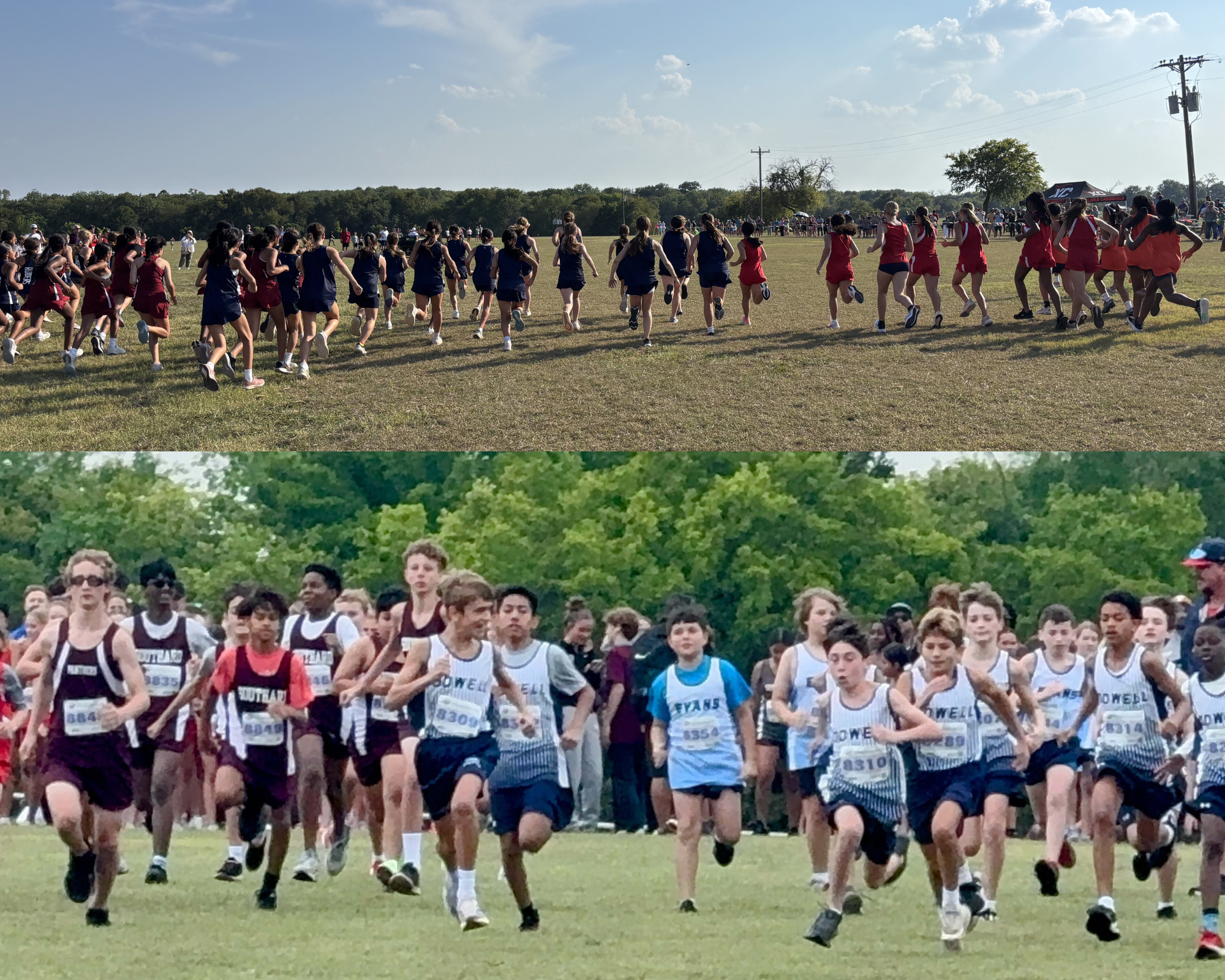 xc