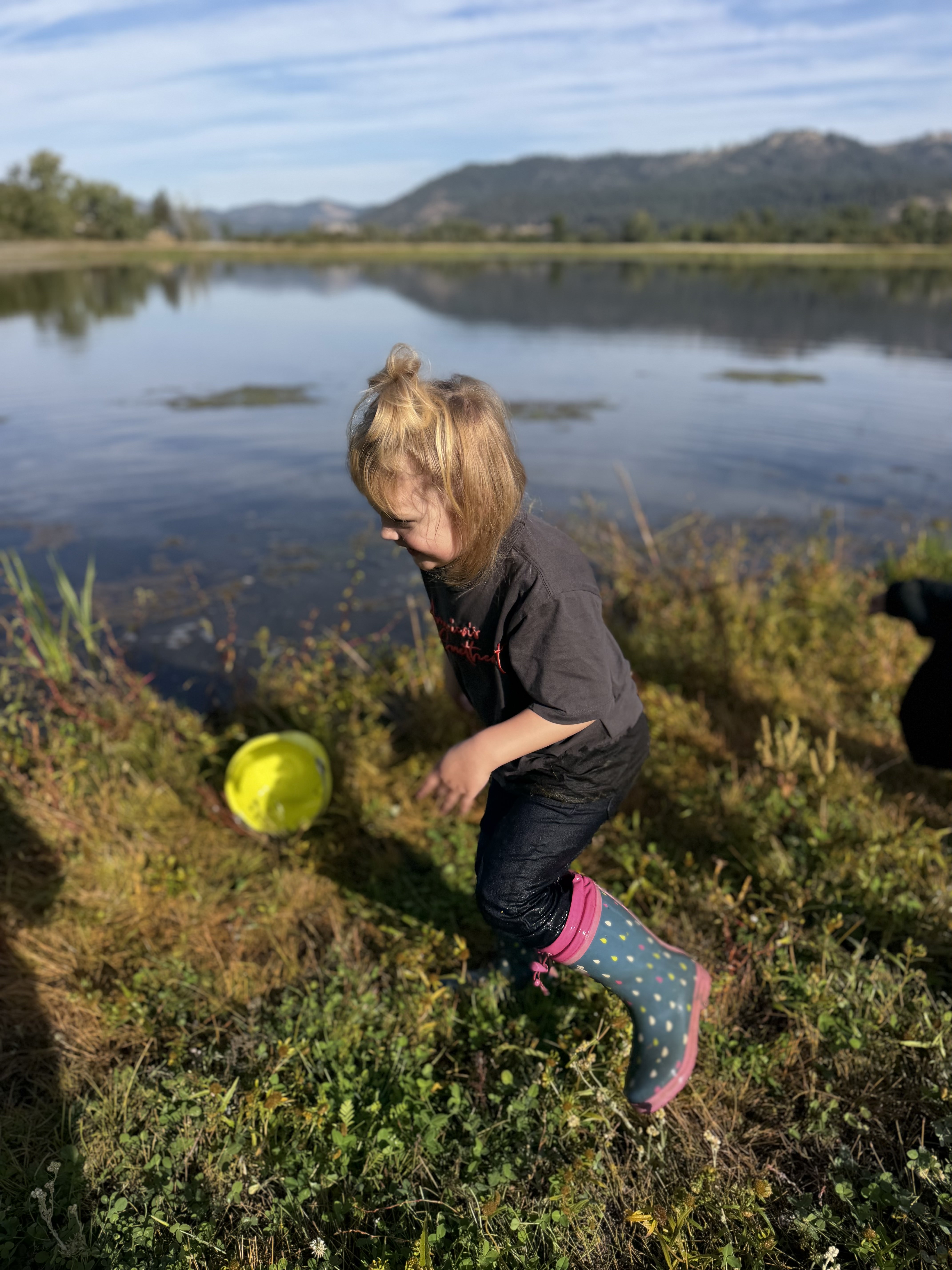 pictures of kids on a field trip to wetlands