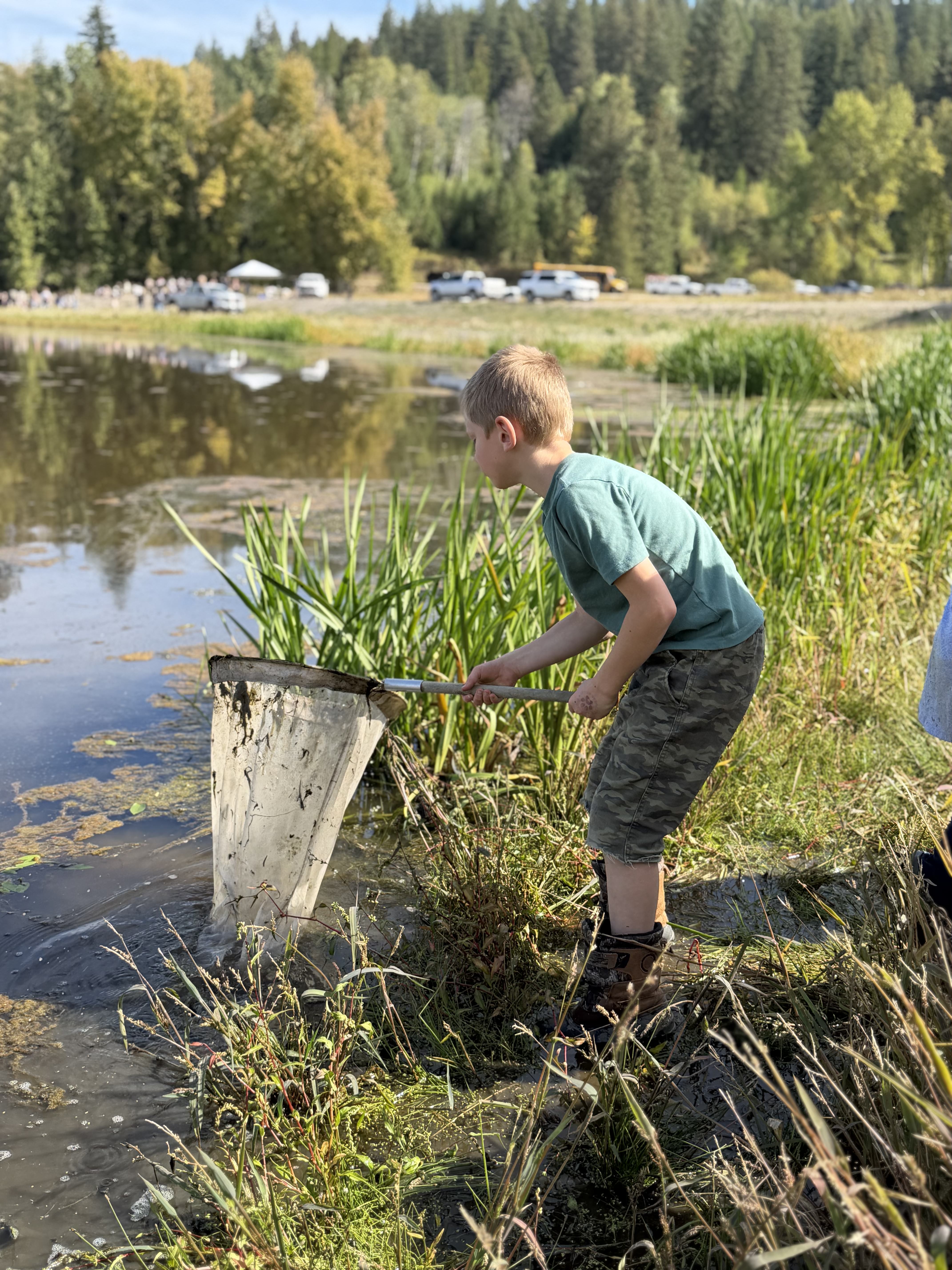 pictures of kids on a field trip to wetlands