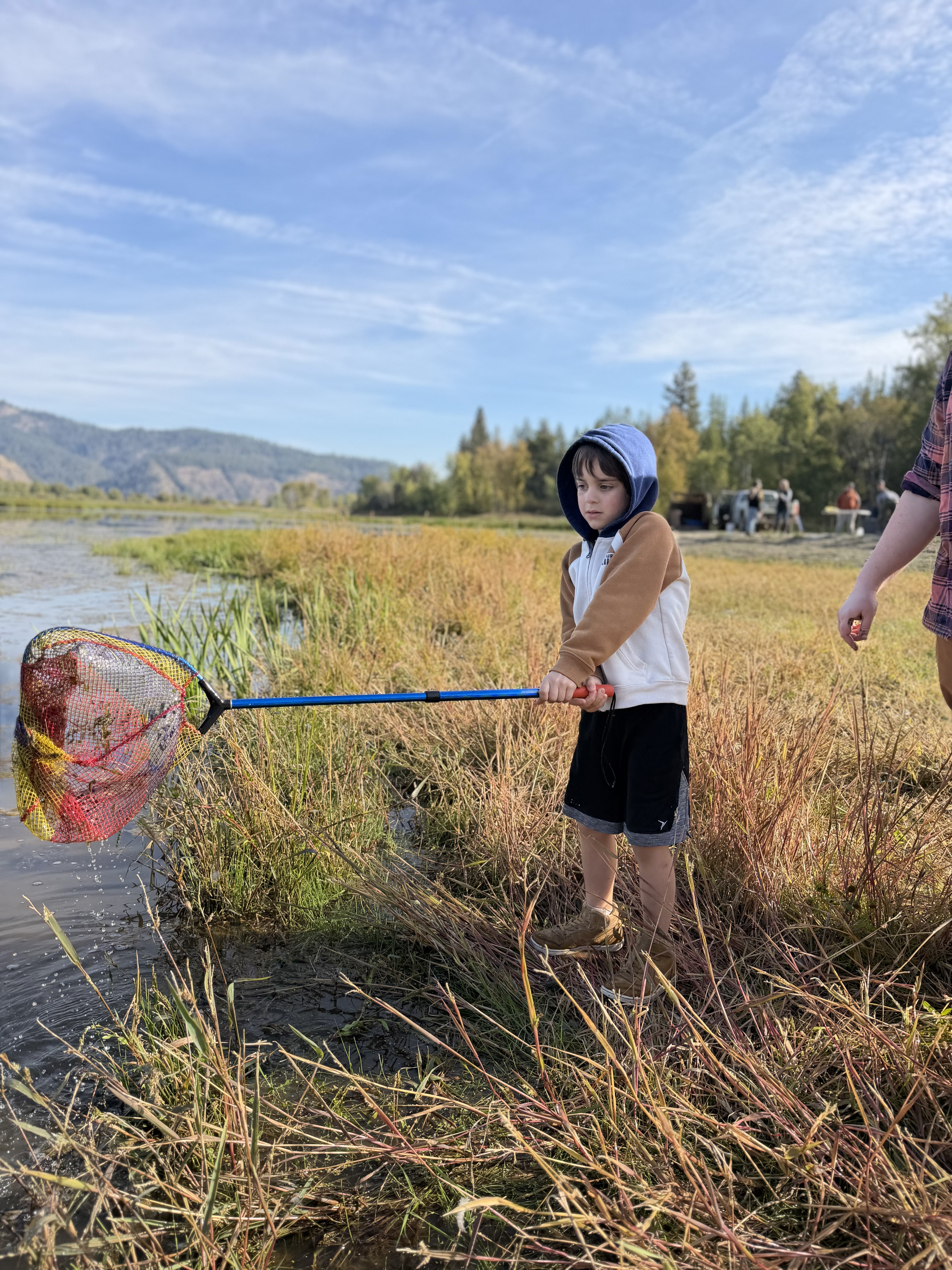 pictures of kids on a field trip to wetlands