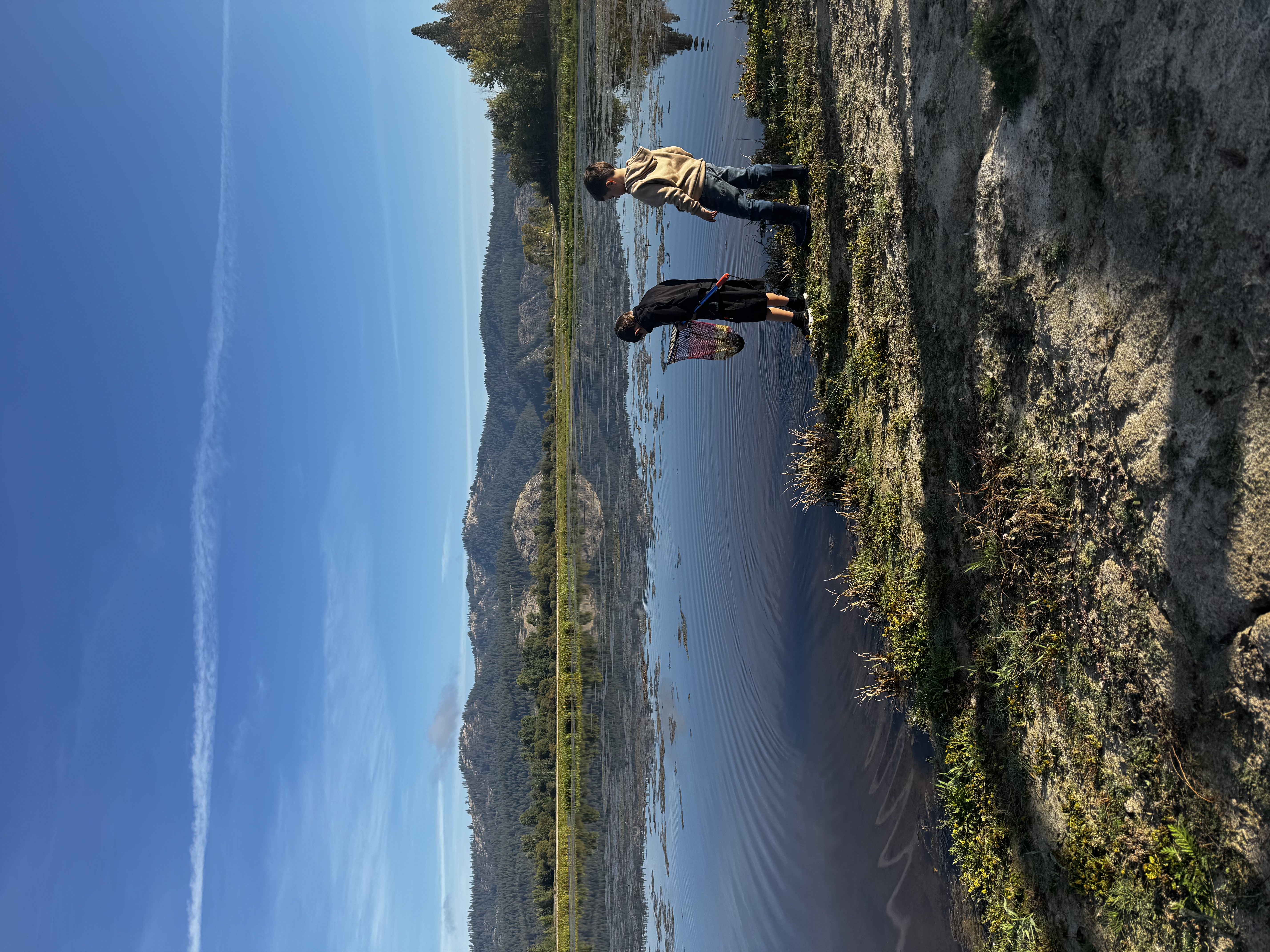 pictures of kids on a field trip to wetlands
