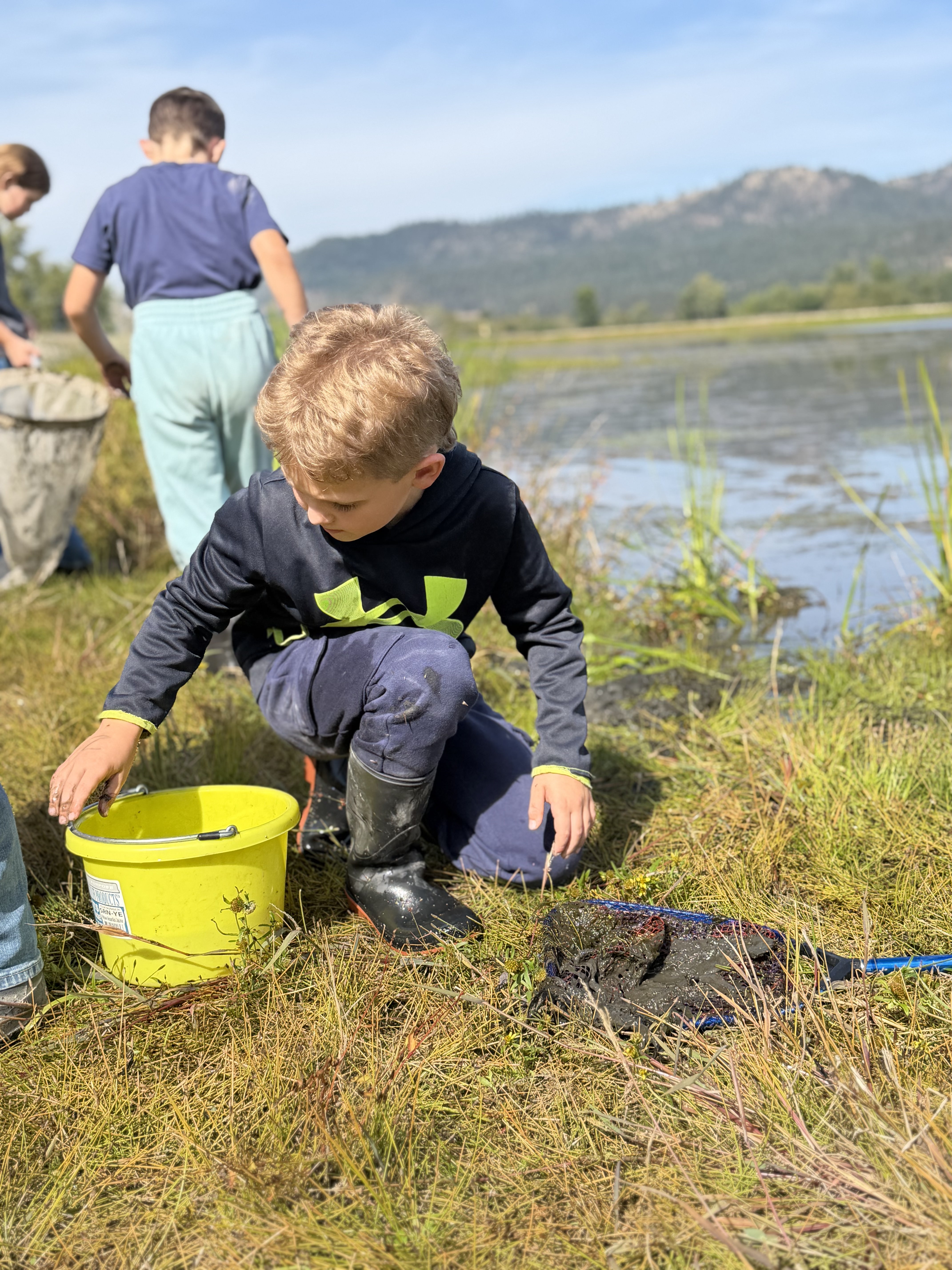 pictures of kids on a field trip to wetlands