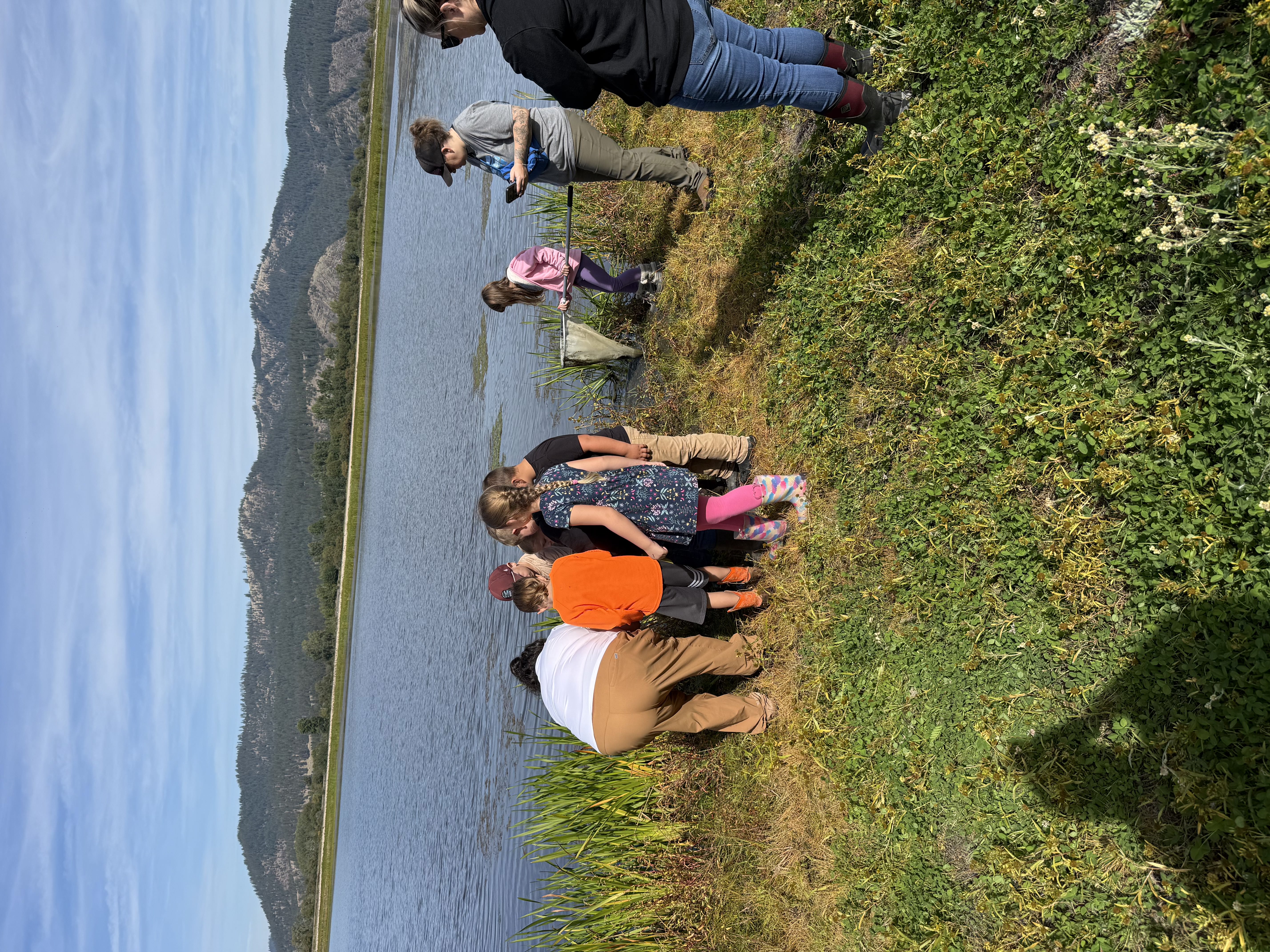 pictures of kids on a field trip to wetlands