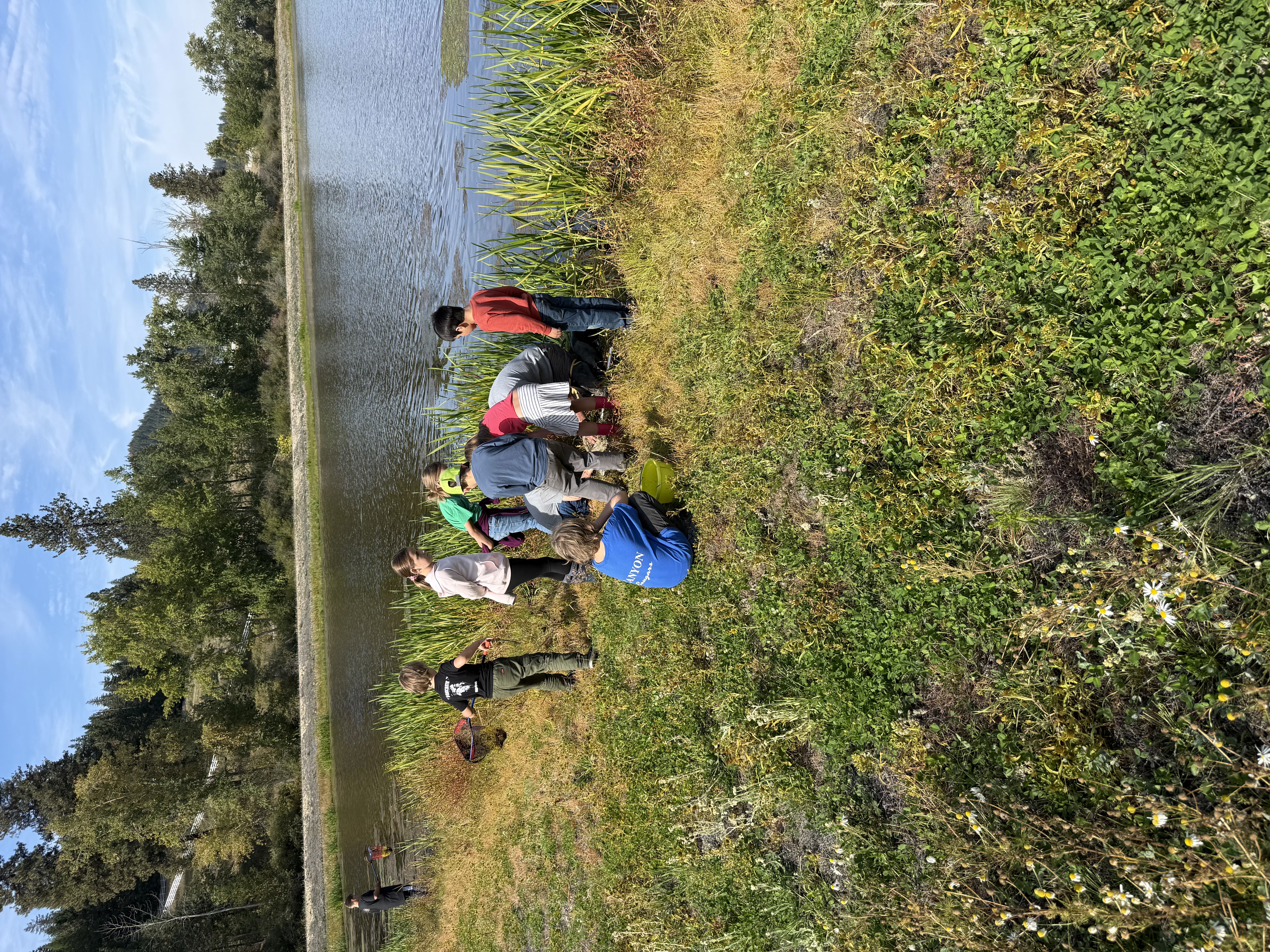pictures of kids on a field trip to wetlands