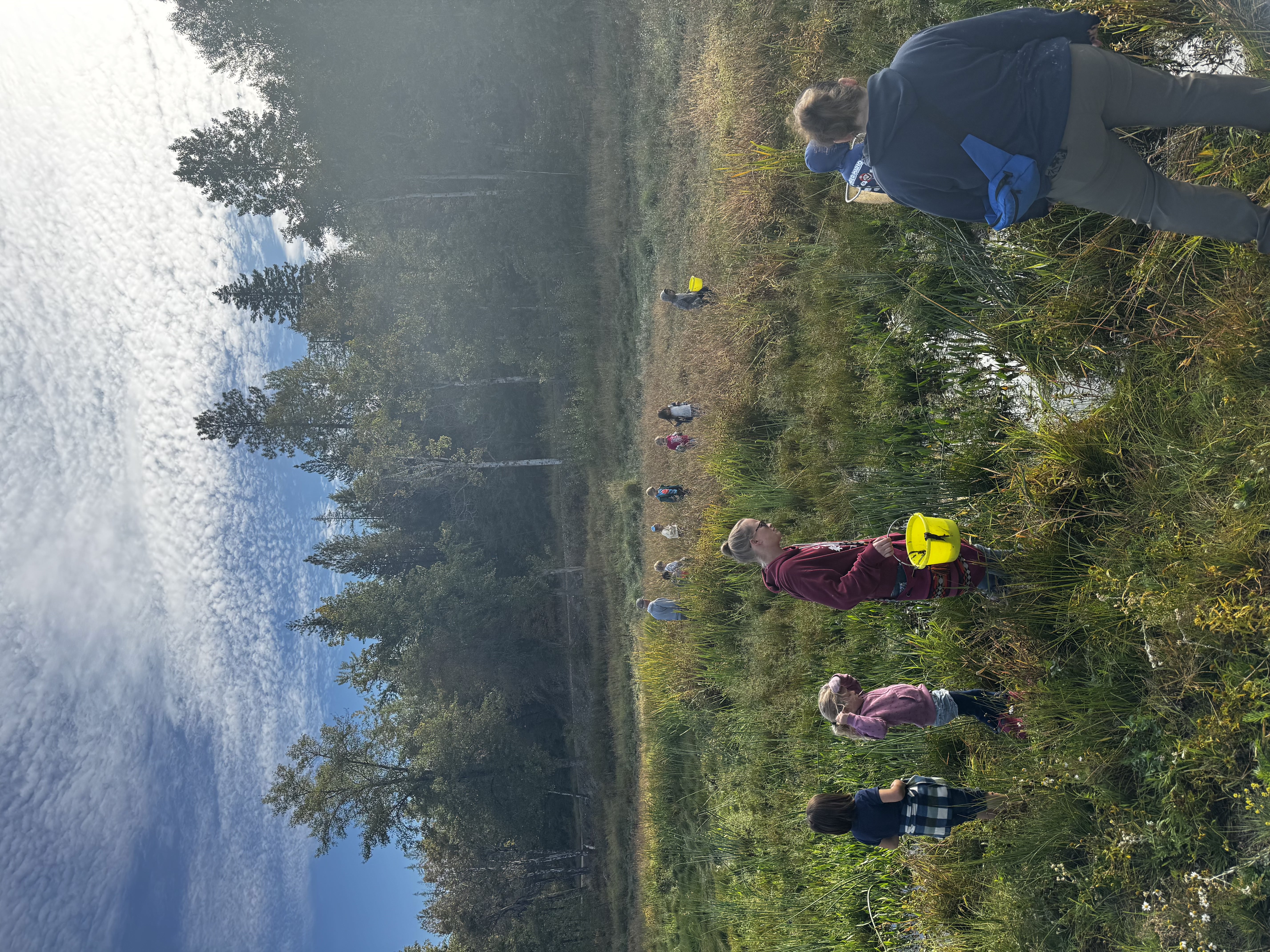 pictures of kids on a field trip to wetlands