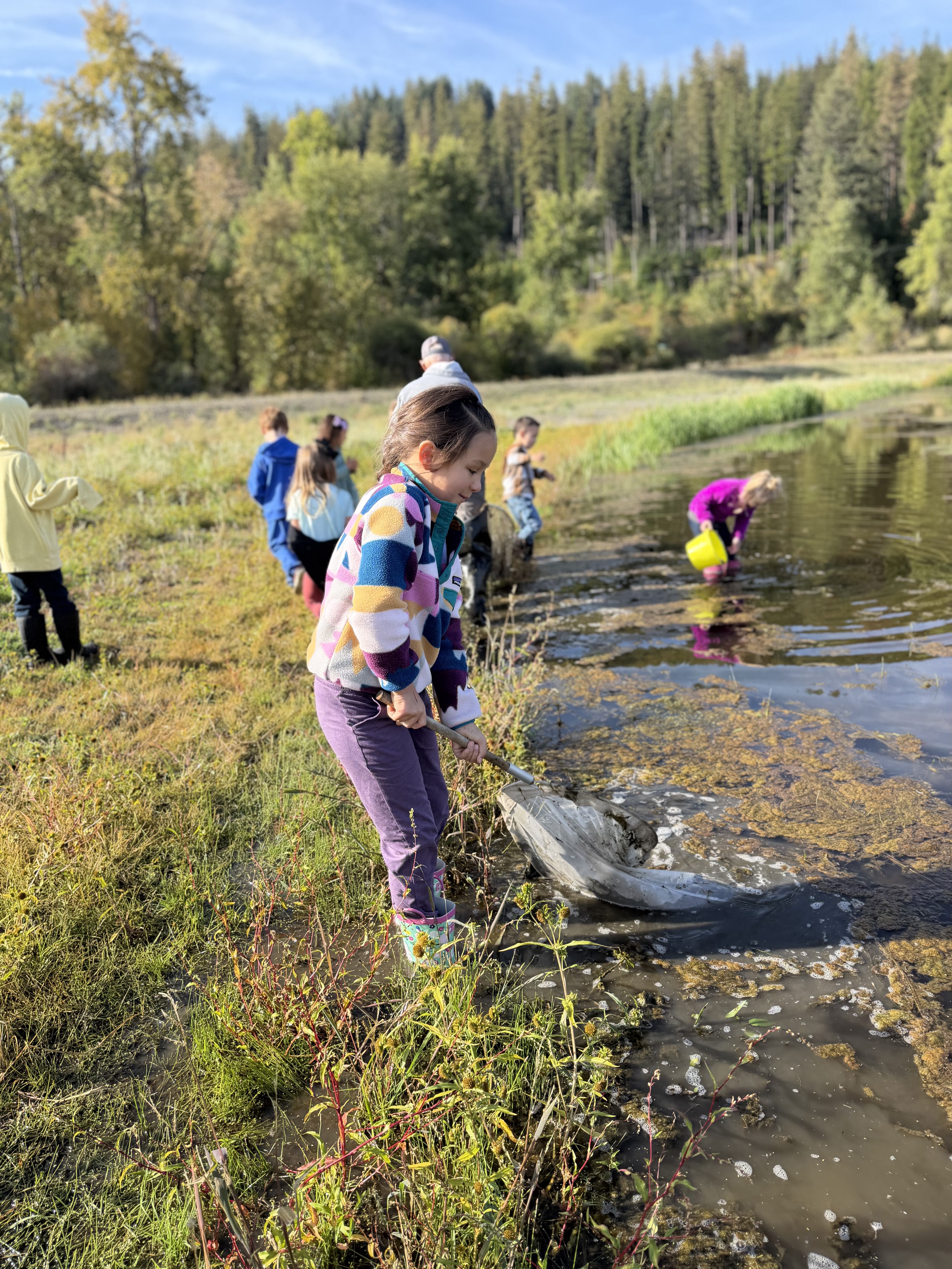 pictures of kids on a field trip to wetlands