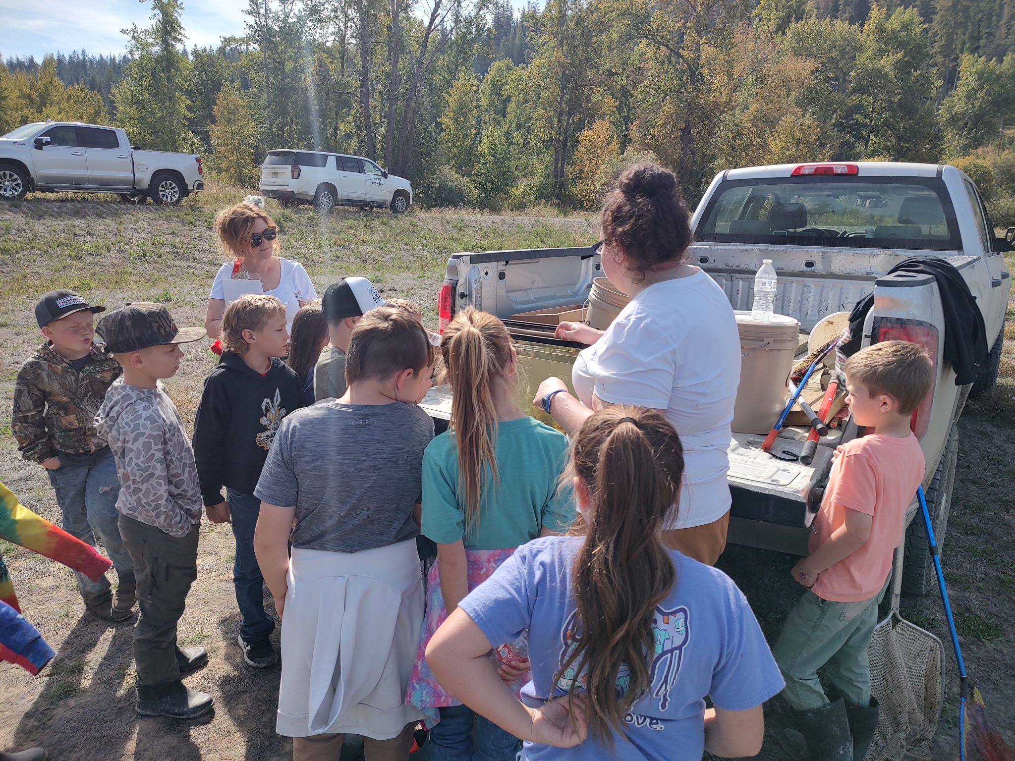 pictures of kids on a field trip to wetlands