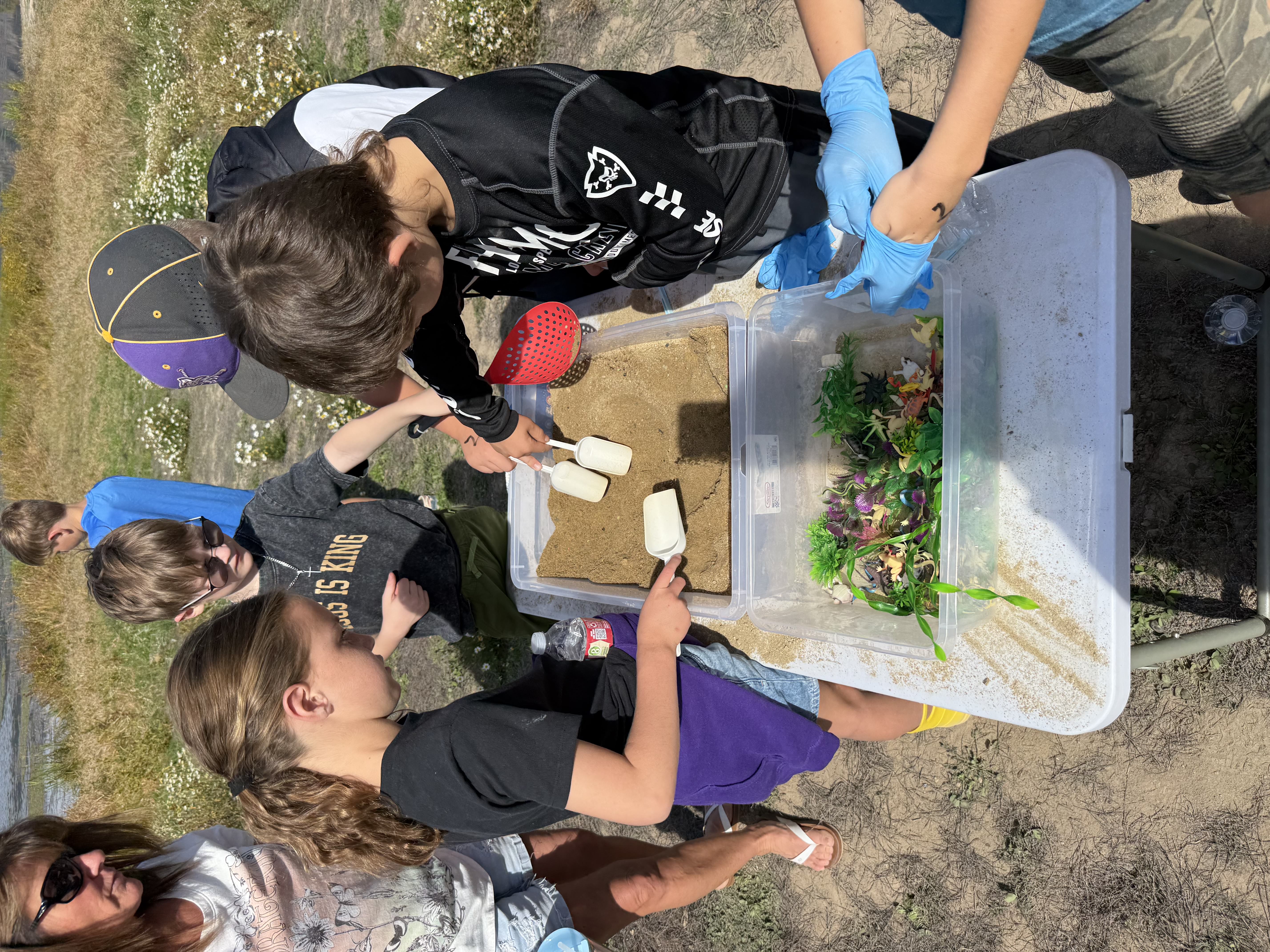pictures of kids on a field trip to wetlands